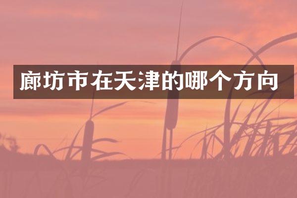 廊坊市在天津的哪个方向