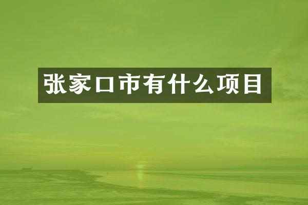 张家口市有什么项目