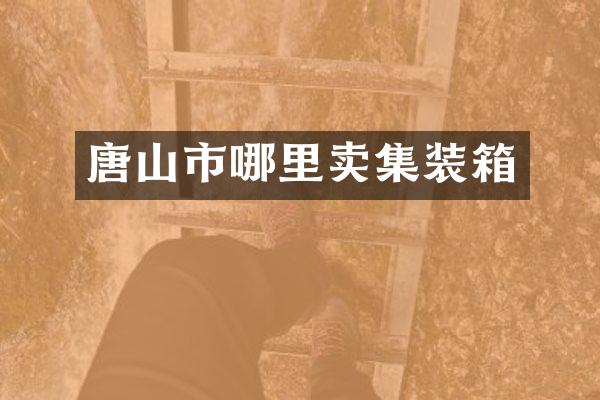 唐山市哪里卖集装箱
