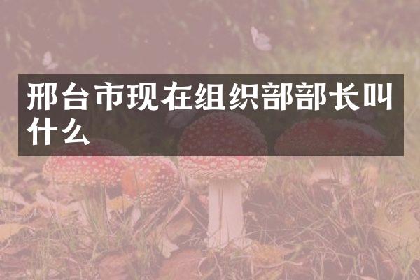 邢台市现在组织部部长叫什么