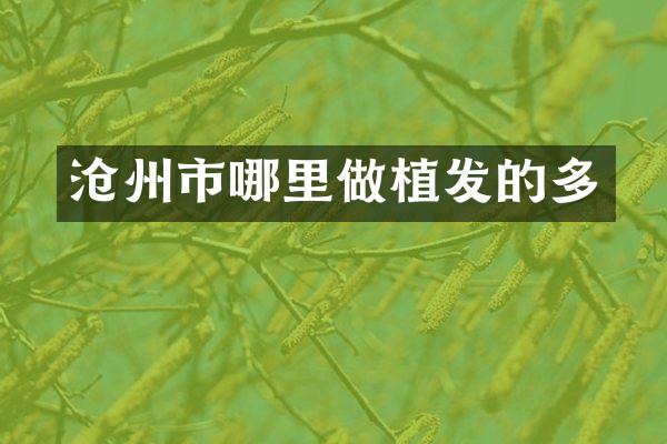 沧州市哪里做植发的多