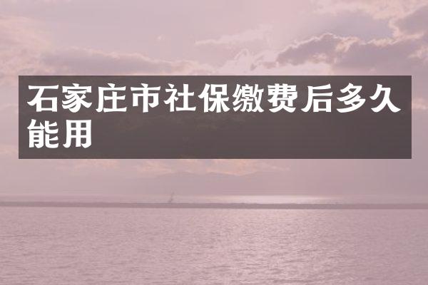石家庄市社保缴费后多久能用