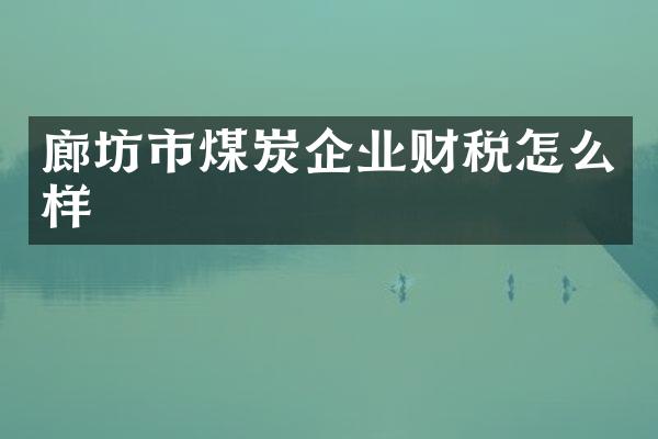 廊坊市煤炭企业财税怎么样