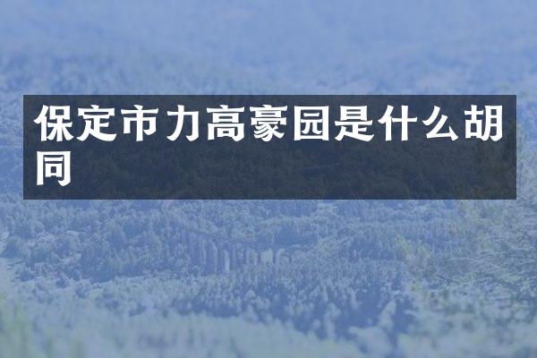 保定市力高豪园是什么胡同