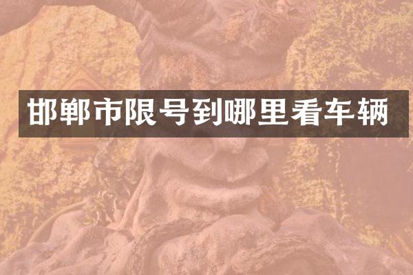 邯郸市限号到哪里看车辆