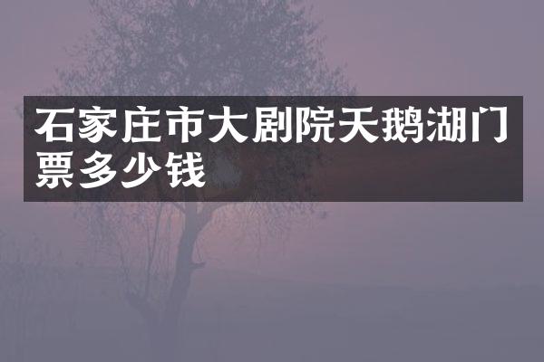 石家庄市大剧院天鹅湖门票多少钱