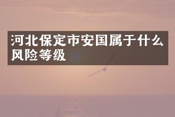 河北保定市安国属于什么风险等级