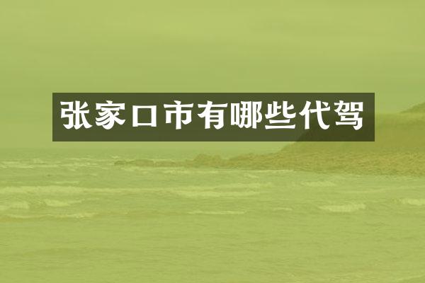 张家口市有哪些代驾