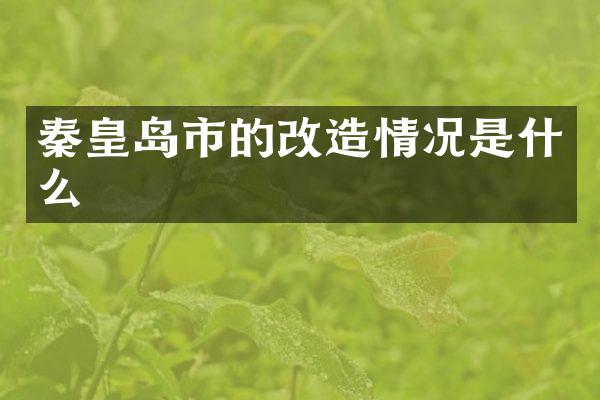 秦皇岛市的改造情况是什么
