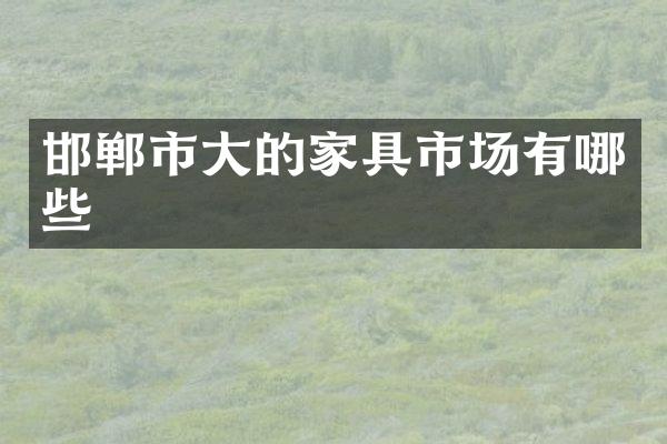 邯郸市大的家具市场有哪些