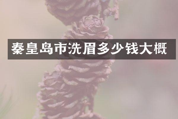 秦皇岛市洗眉多少钱大概