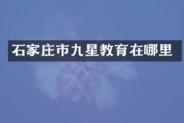石家庄市九星教育在哪里