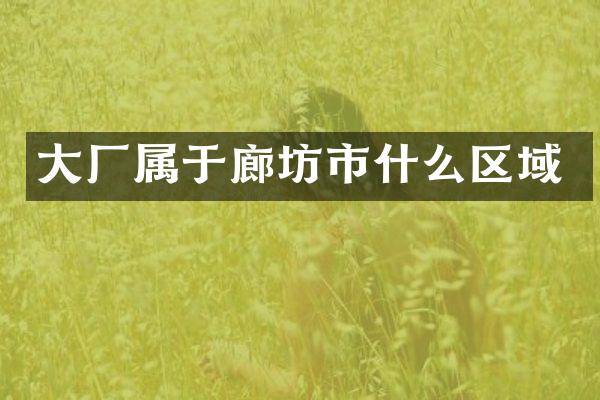 大厂属于廊坊市什么区域