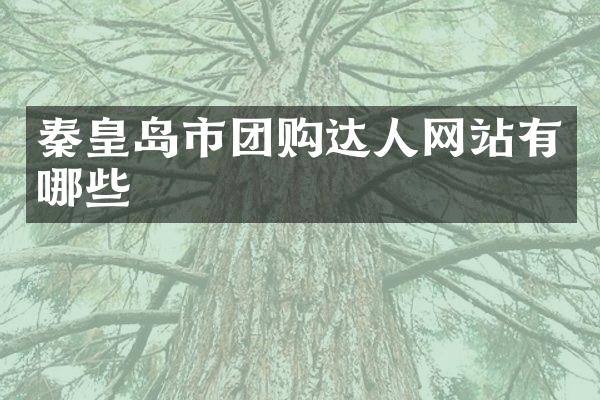 秦皇岛市团购达人网站有哪些