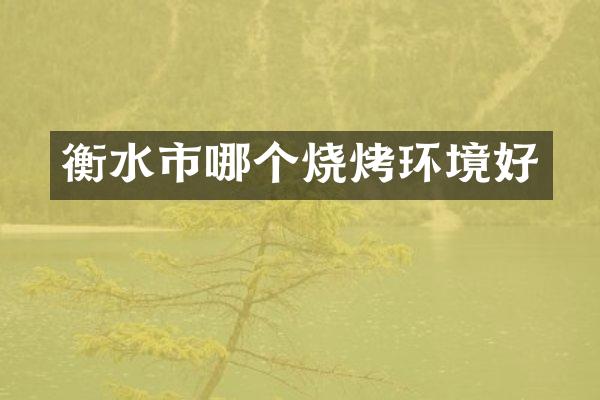 衡水市哪个烧烤环境好
