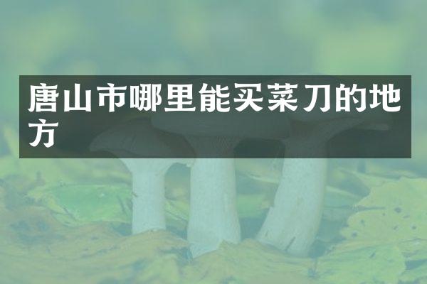 唐山市哪里能买菜刀的地方