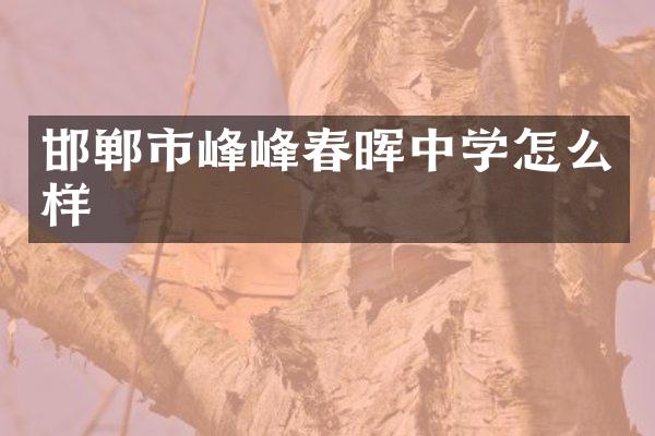 邯郸市峰峰春晖中学怎么样
