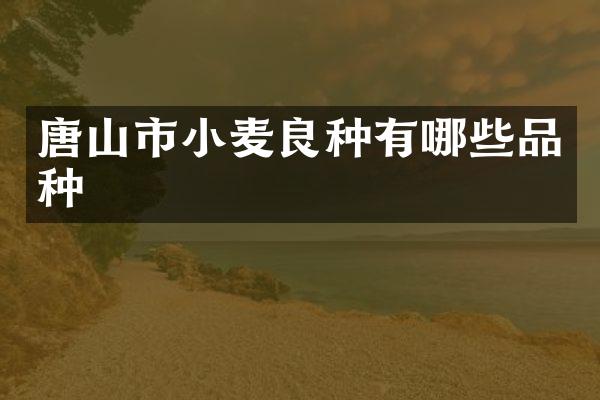 唐山市小麦良种有哪些品种