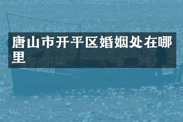 唐山市开平区婚姻处在哪里