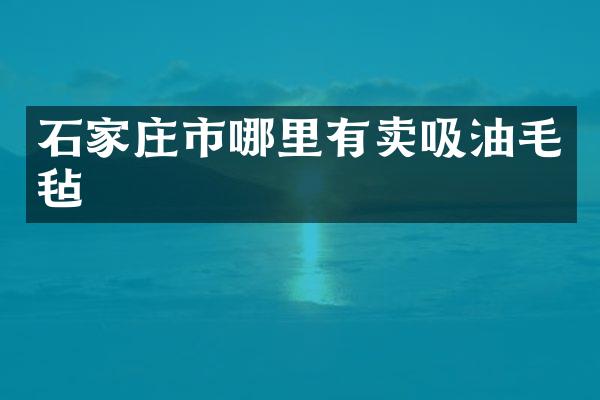 石家庄市哪里有卖吸油毛毡