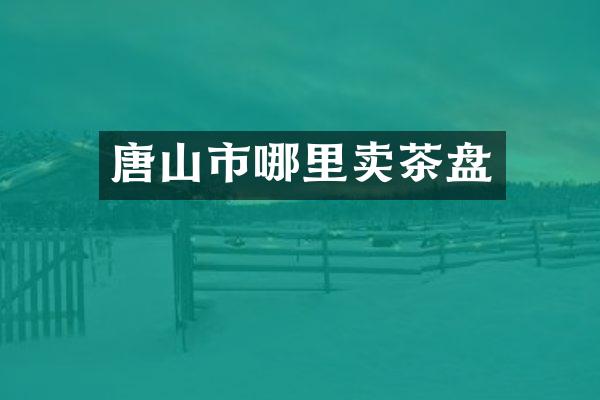 唐山市哪里卖茶盘
