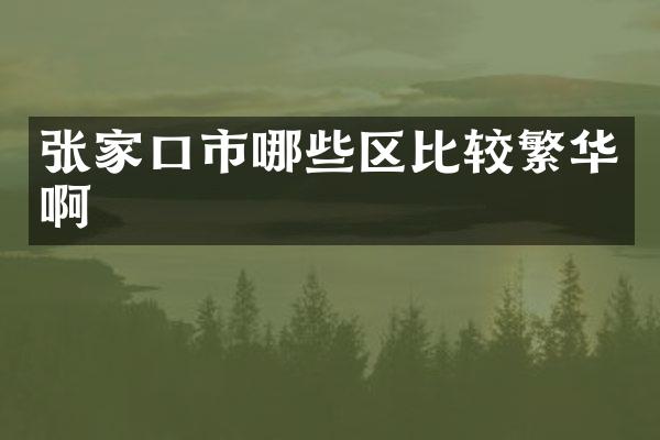 张家口市哪些区比较繁华啊
