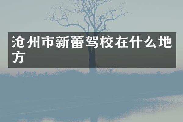 沧州市新蕾驾校在什么地方