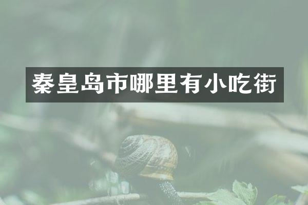 秦皇岛市哪里有小吃街