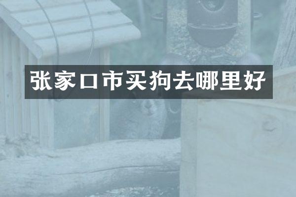 张家口市买狗去哪里好