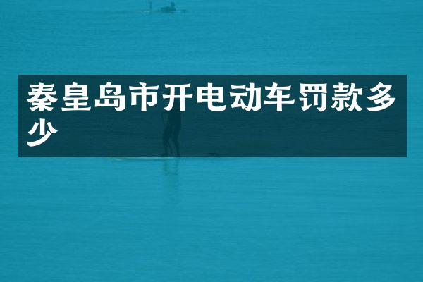 秦皇岛市开电动车罚款多少