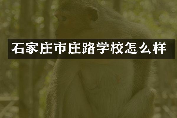 石家庄市庄路学校怎么样
