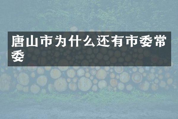 唐山市为什么还有市委常委