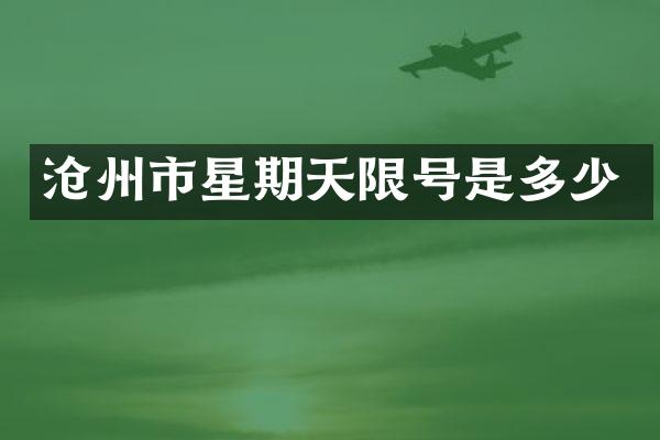 沧州市星期天限号是多少