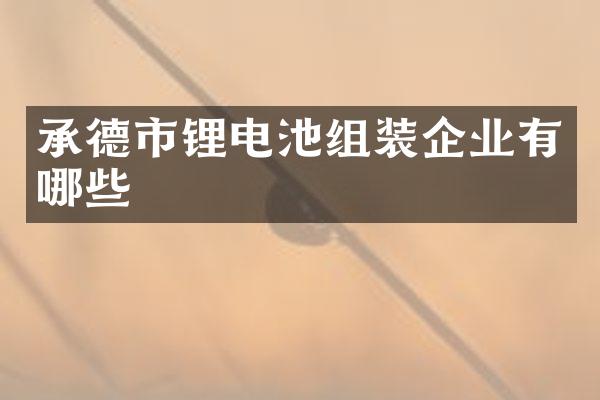 承德市锂电池组装企业有哪些