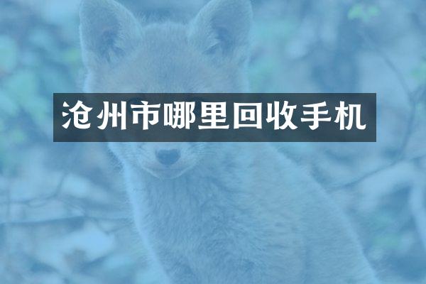 沧州市哪里回收手机