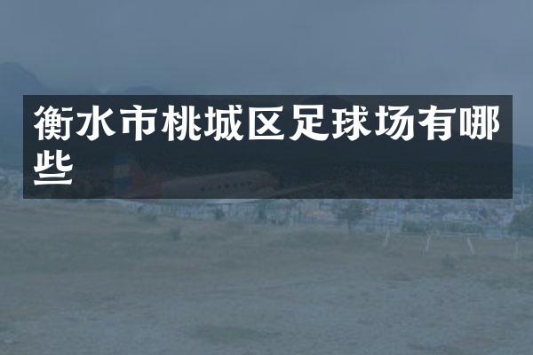 衡水市桃城区足球场有哪些
