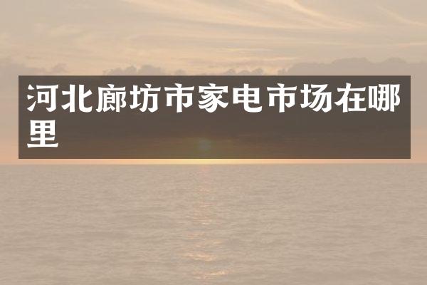 河北廊坊市家电市场在哪里