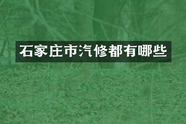 石家庄市汽修都有哪些