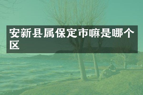 安新县属保定市嘛是哪个区