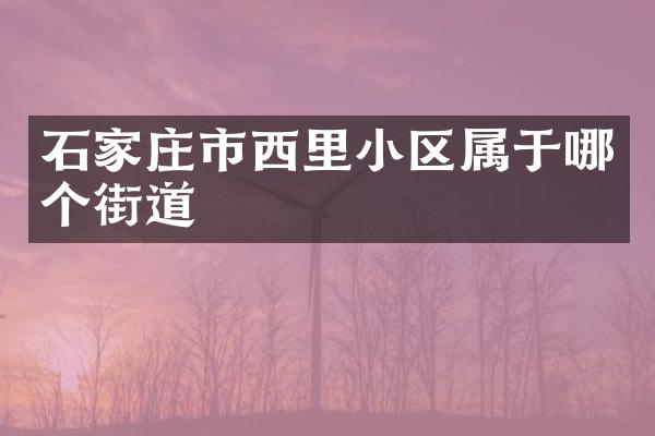 石家庄市西里小区属于哪个街道