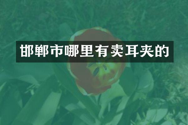邯郸市哪里有卖耳夹的