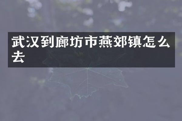 武汉到廊坊市燕郊镇怎么去