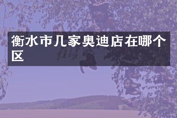 衡水市几家奥迪店在哪个区