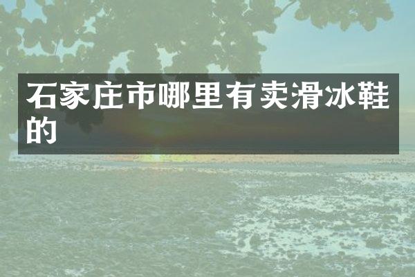石家庄市哪里有卖滑冰鞋的