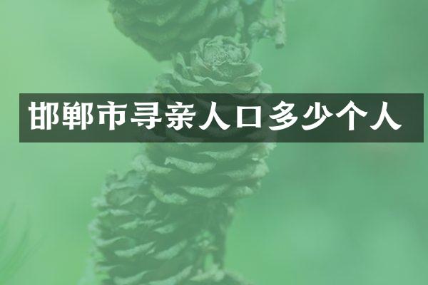 邯郸市寻亲人口多少个人