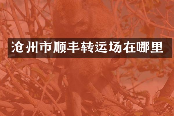 沧州市顺丰转运场在哪里