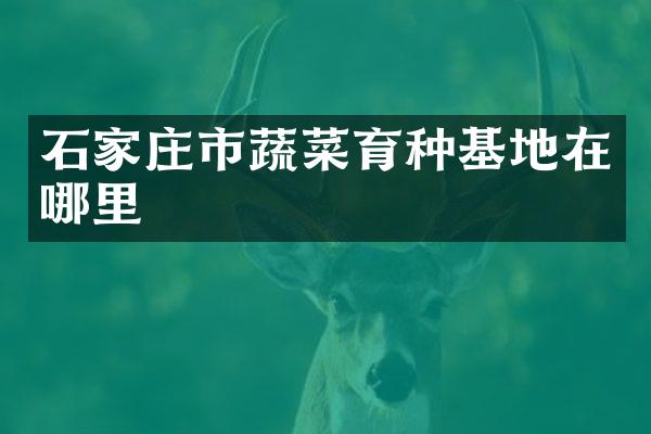 石家庄市蔬菜育种基地在哪里