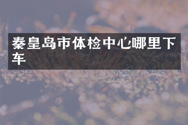 秦皇岛市体检中心哪里下车