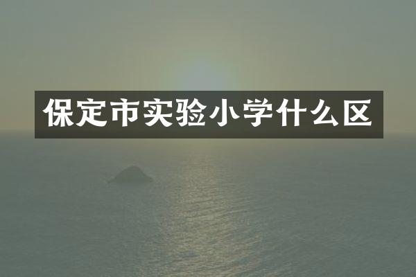 保定市实验小学什么区