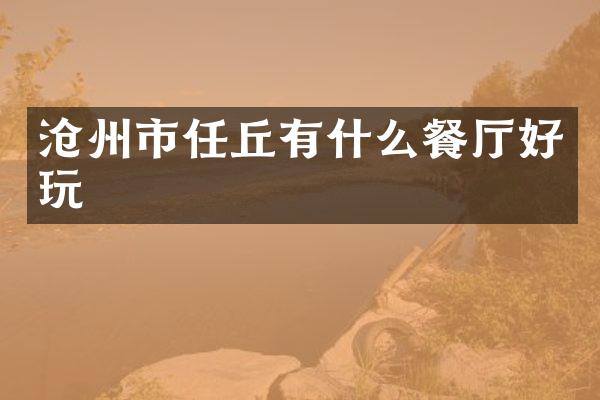 沧州市任丘有什么餐厅好玩